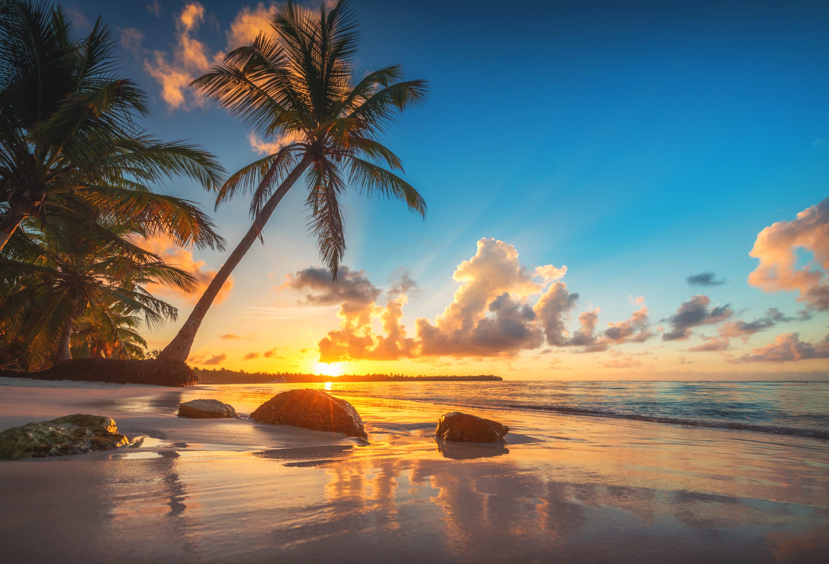 Tropical beach sunset with palm trees