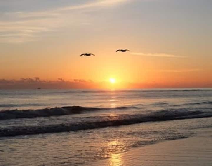 Two birds silhouetted over sunrise ocean