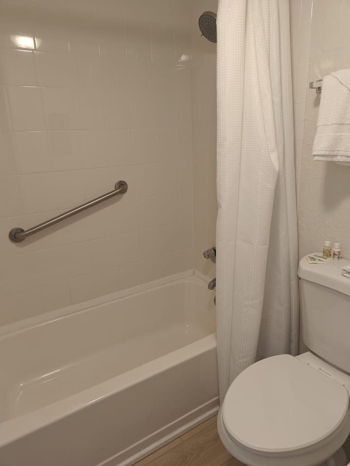 Bathroom with bathtub, shower curtain, toilet