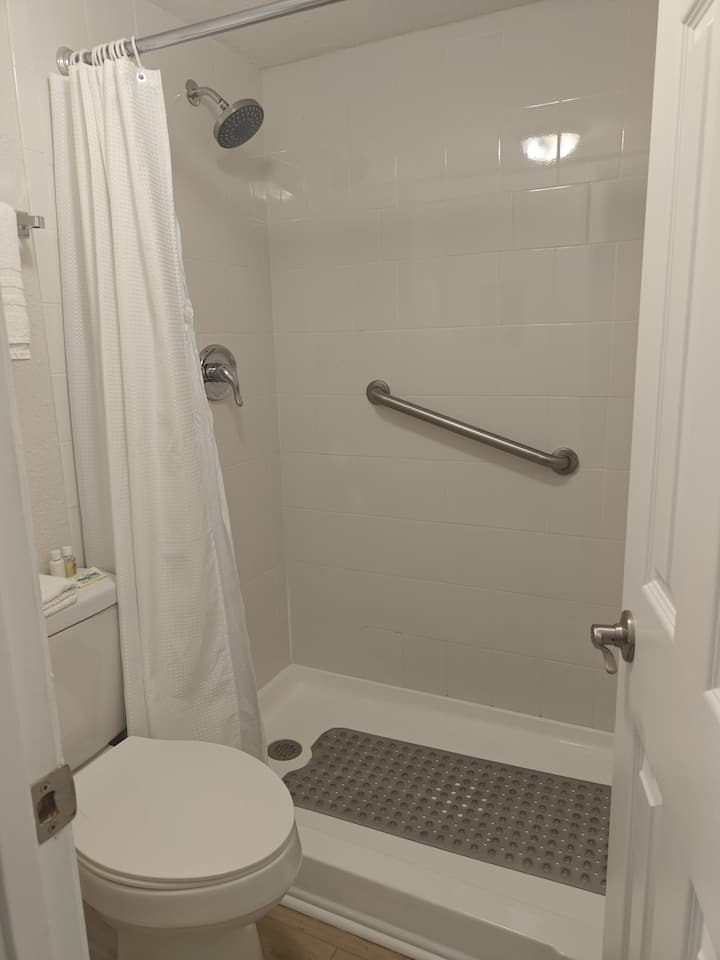 Bathroom with shower, toilet, and grab bar
